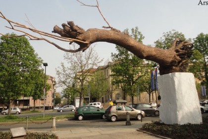 Il nuovo portale della GAM