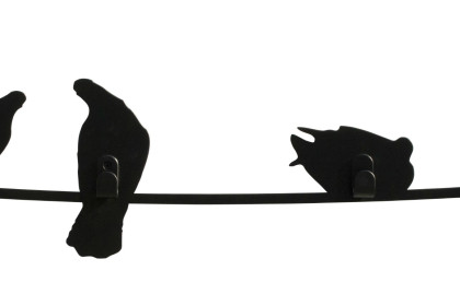 Appendiabiti insoliti