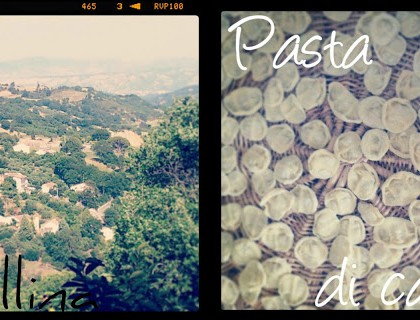 Last month on instagram: part 1