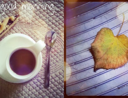 Last months on instagram- Part 1