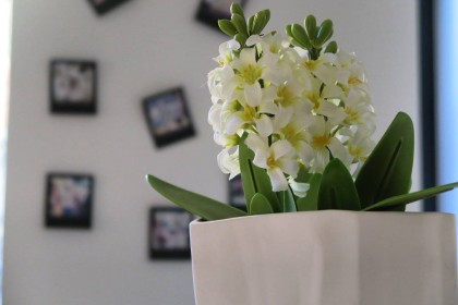 Design time #12: La primavera in Instagram