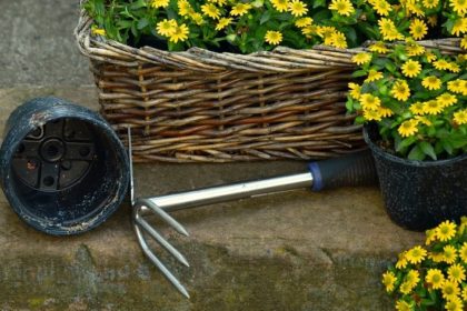 Realizzare un giardino perfetto