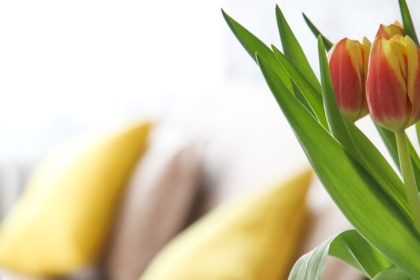 Come organizzare una casa accessibile a tutti