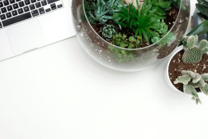 Giornata mondiale dell'ambiente: idee per una casa sostenibile