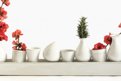 Natura e design: come portare il green nella nostra casa