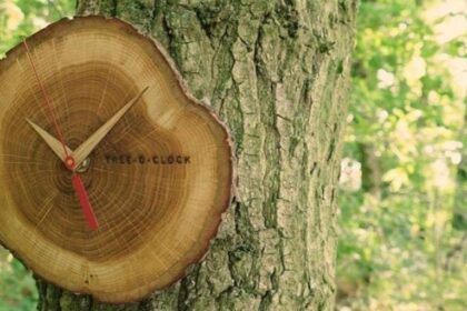 orologi da parete in legno