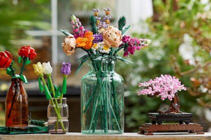 Lego Botanical Collection: una pianta da costruire