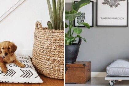 Preparare la casa per l'arrivo del cane: qualche consiglio