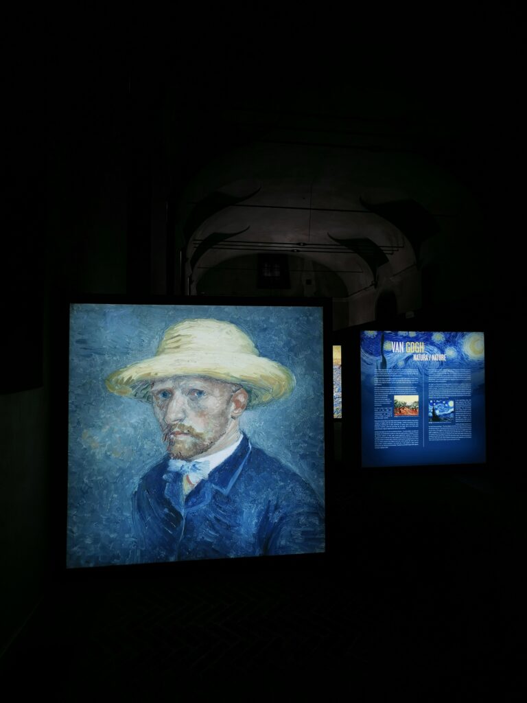 Van Gogh Experience Stupinigi