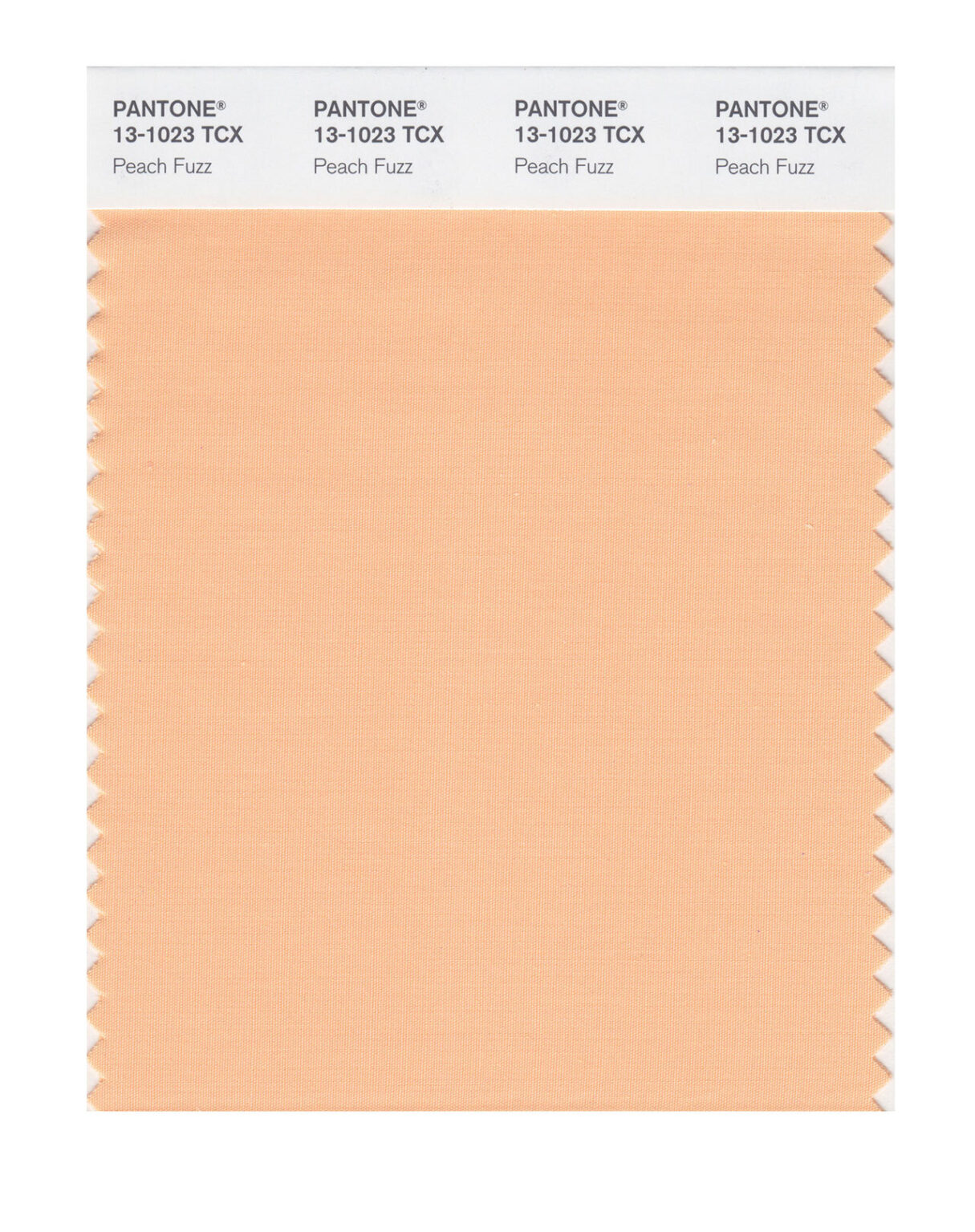 Colore Pantone 2024 Peach Fuzz Come Utilizzarlo In Casa Arscity