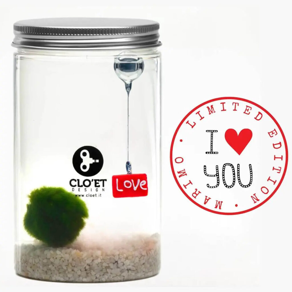 regali san Valentino