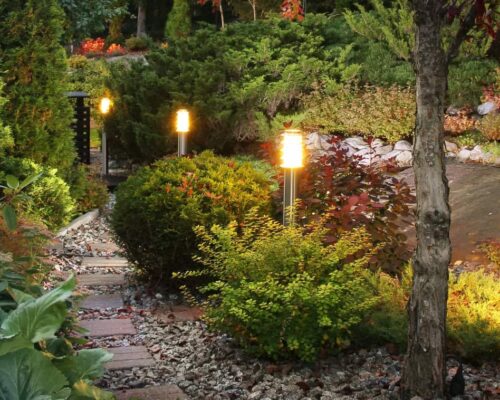 Illuminated home garden path patio lights and plants in autumn evening dusk