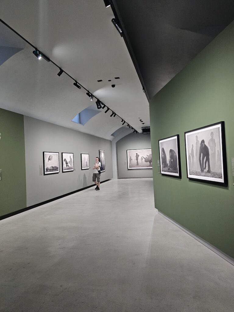 Mostre Gallerie d'Italia Torino