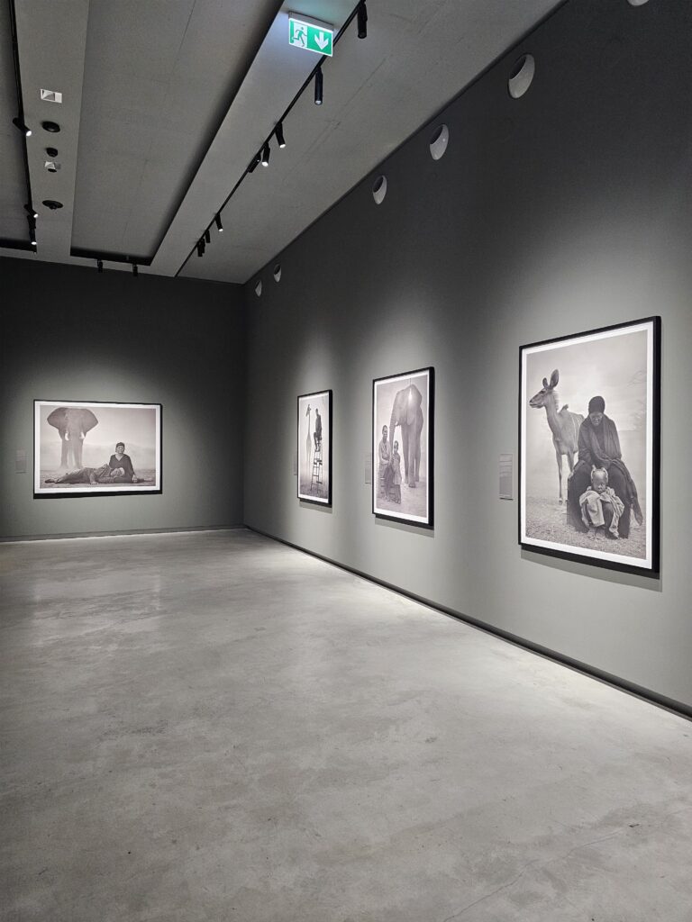 Mostre Gallerie d'Italia Torino