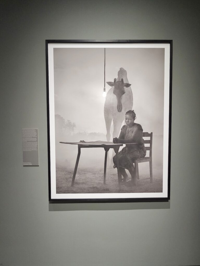 Mostre Gallerie d'Italia Torino