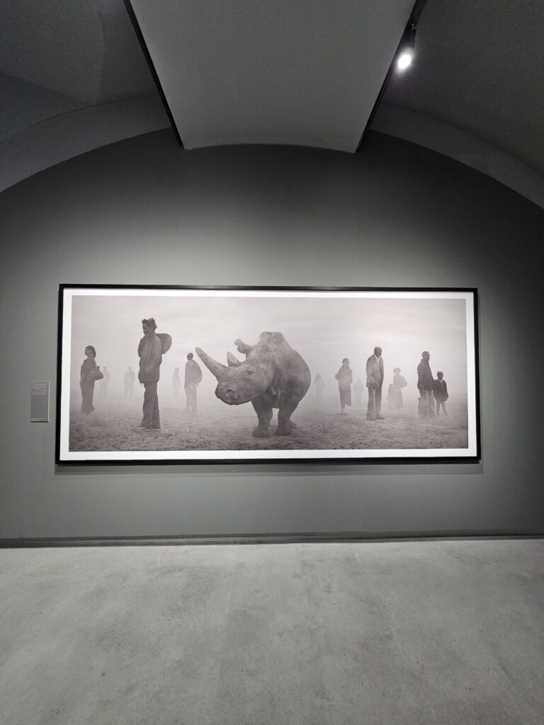 Mostre Gallerie d'Italia Torino