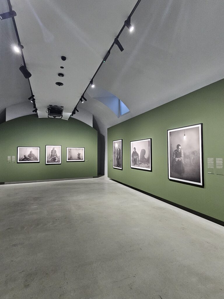 Mostre Gallerie d'Italia Torino