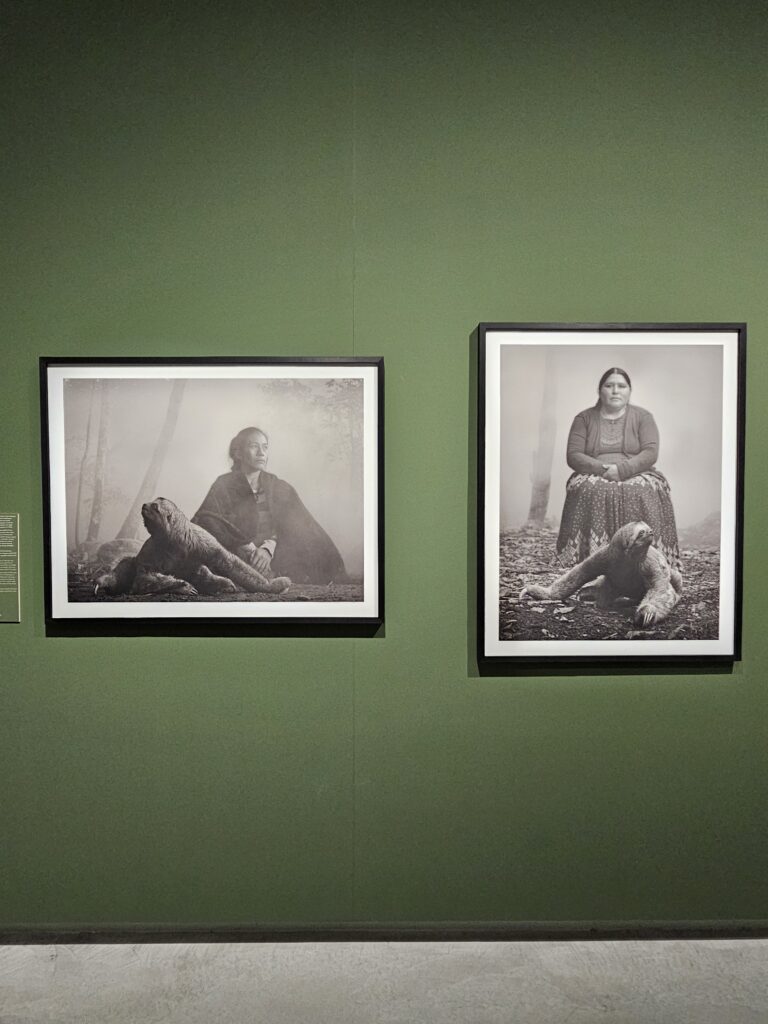 Mostre Gallerie d'Italia Torino