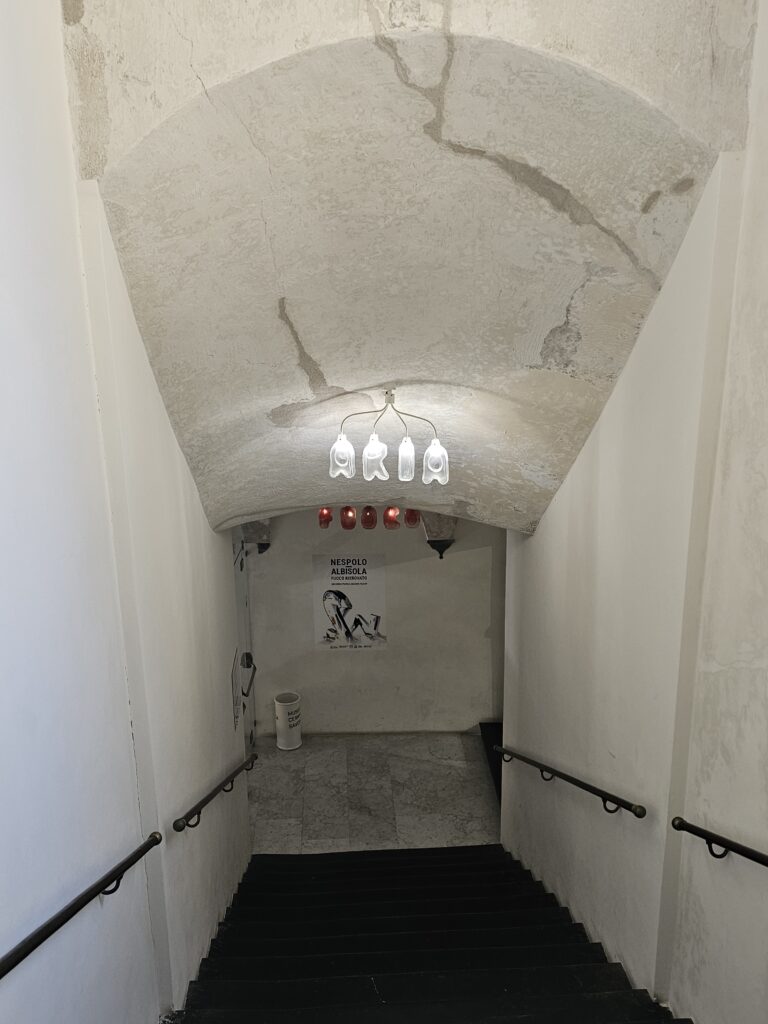 Museo della ceramica di Savona
